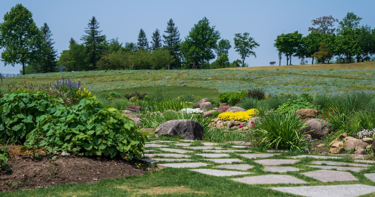 Understory Landscape Co. — concept site preview